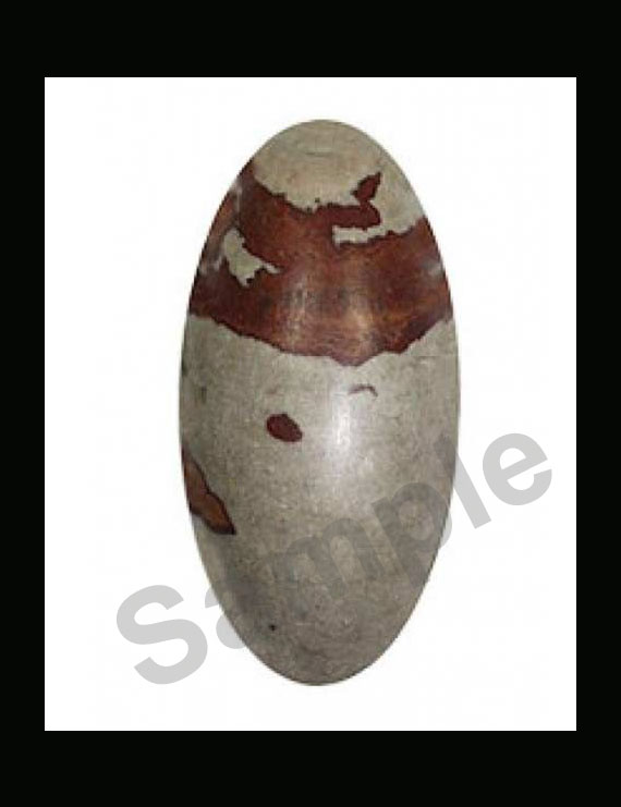 Narmadeshwar Shivling Height- 1 inch